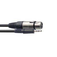 Audio-Kabel, XLR(f) auf Mini-Klinke(m), 1 m 